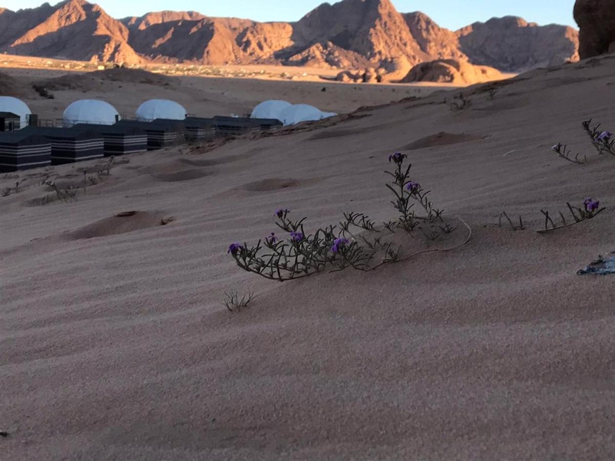 ホテルOryx Camp ワディ ・ラム エクステリア 写真
